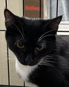 Shilling - Liz's Foster - Photo 4