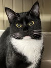Shilling - Liz's Foster - Photo 2