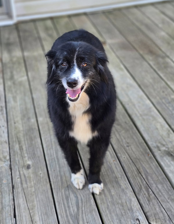 Remi