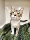 Mishu - Photo 1