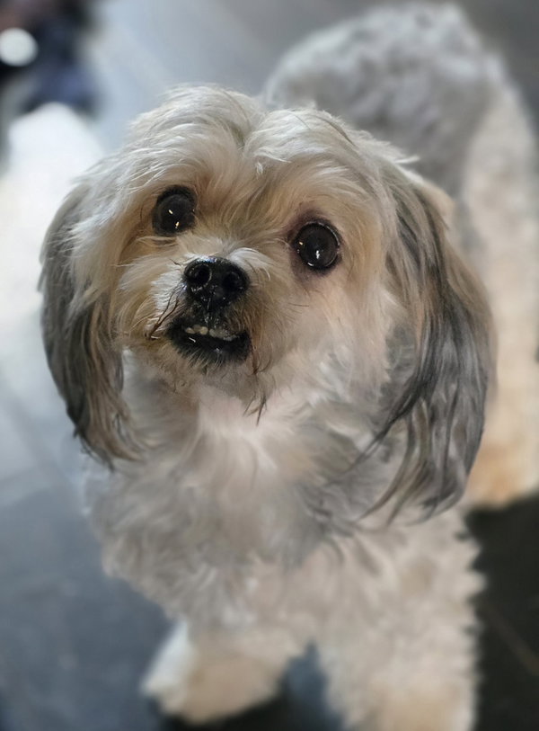 Bailey