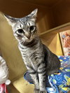 Macy - Photo 4