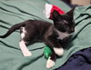 Buzz - Photo 3