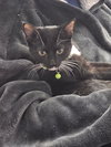 Buzz - Photo 1