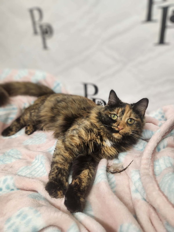 Maggie