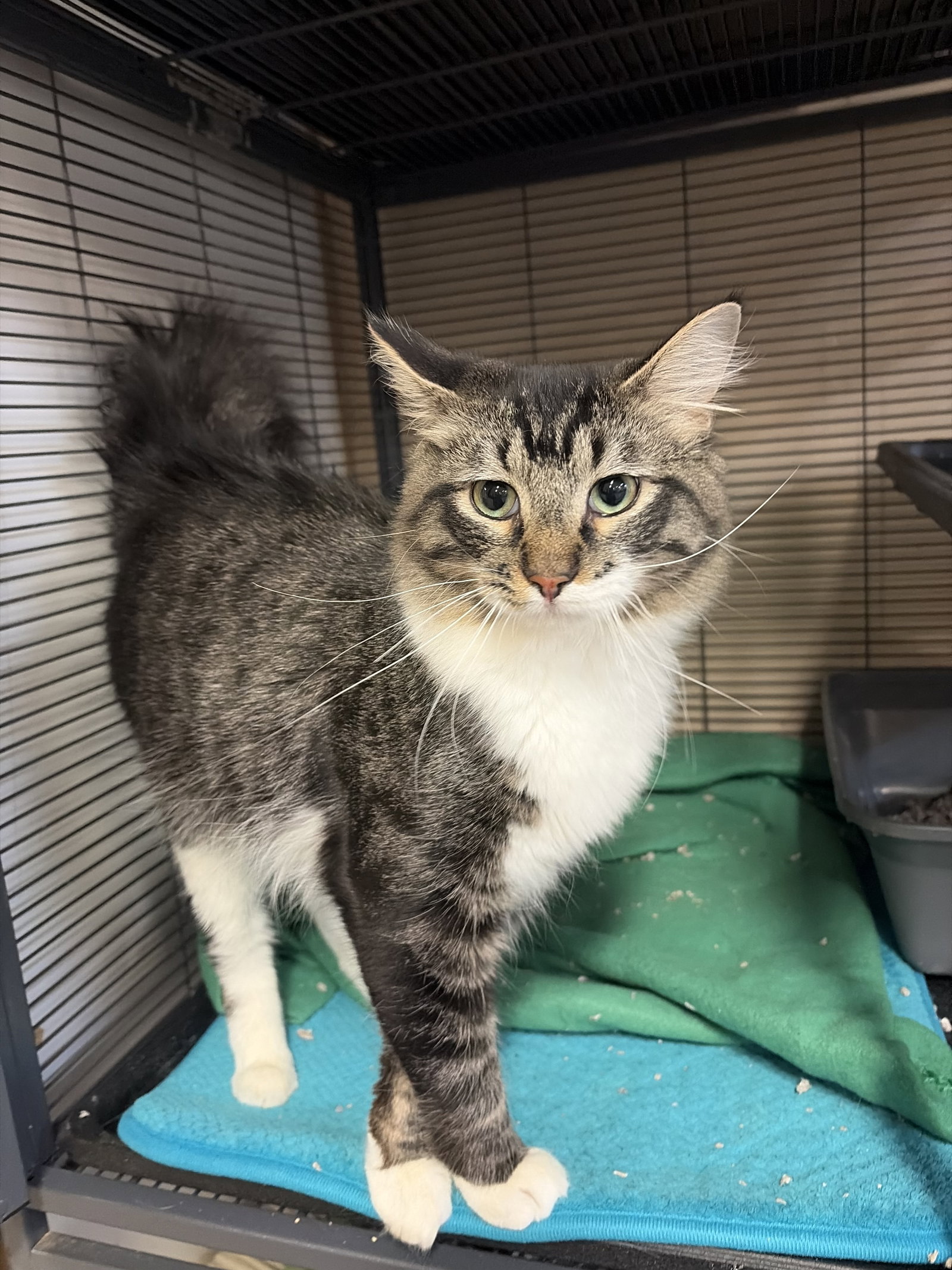 Catrick Swayze Image