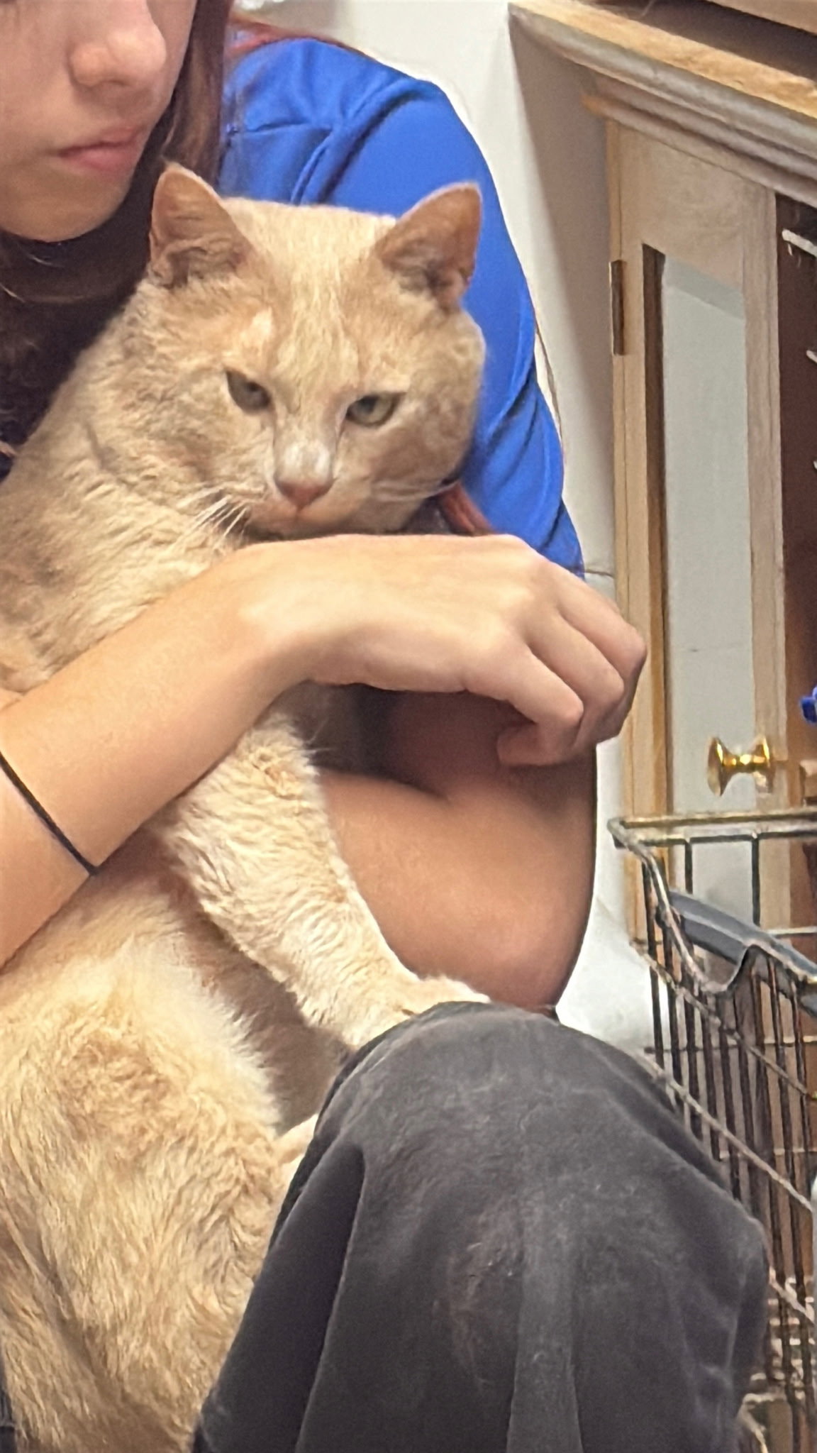 Earl Image