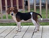 1..JOLENE - Photo 3