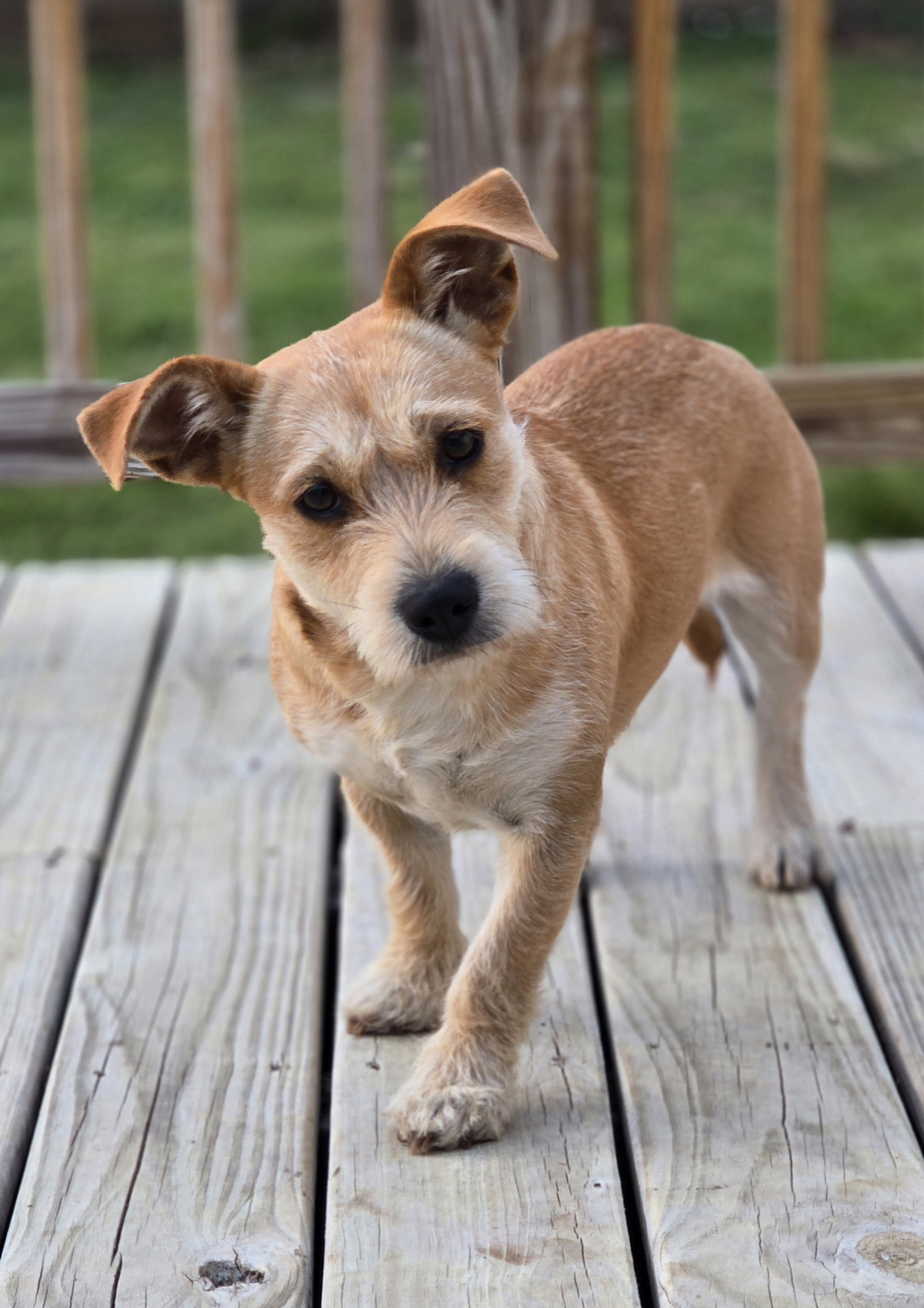 COCO
