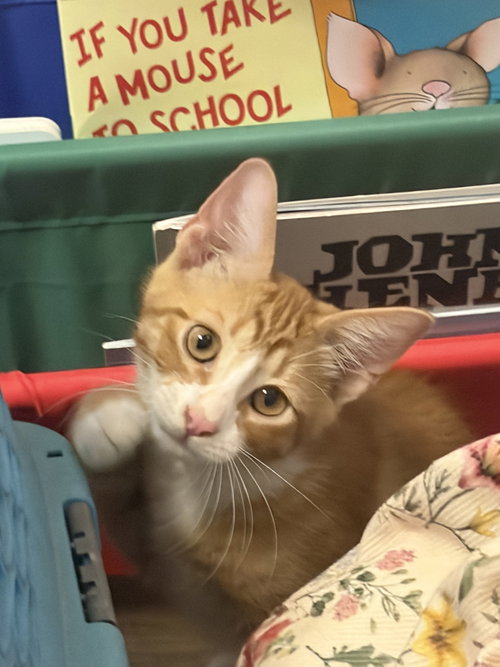 Milo