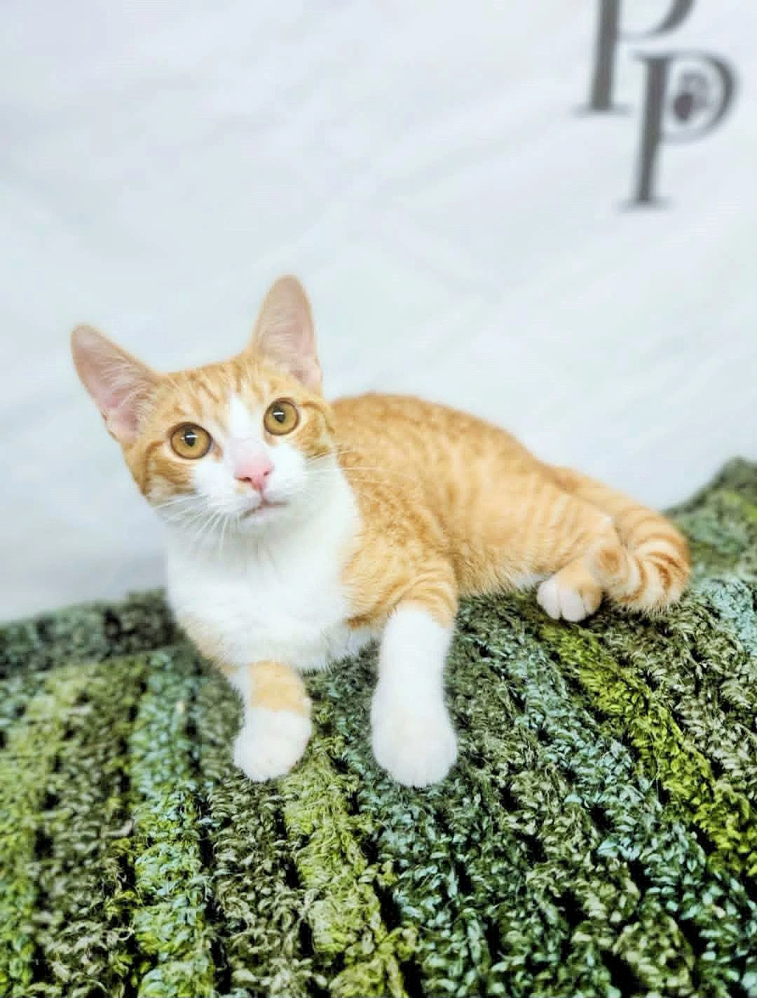 Benny
