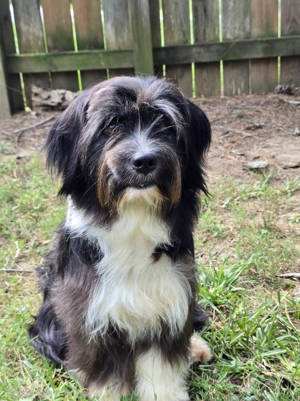 WINSTON