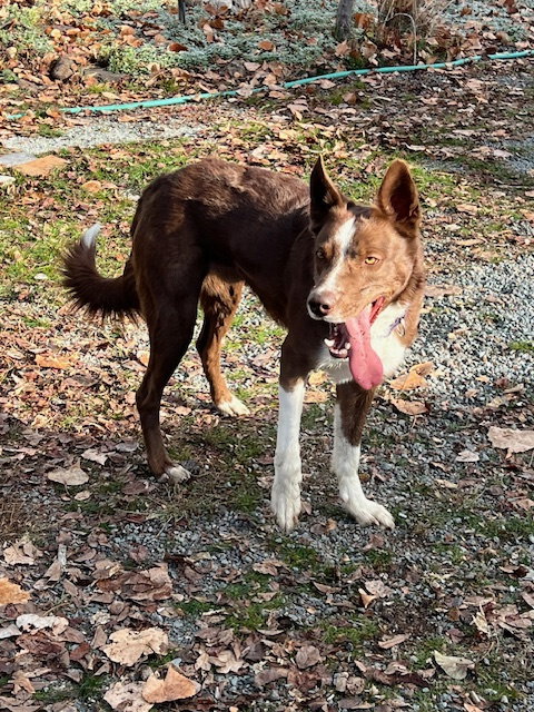 Tucker