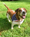 Mindy