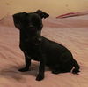 Othello
