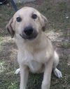 Suzie
