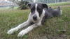 Tucker