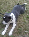 Tucker