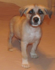 Mitsy