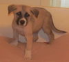 Mitsy