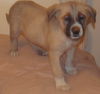 Mitsy