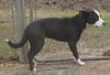 Roscoe