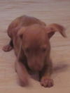 May Belle