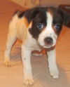 Matilda