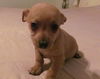 Widget