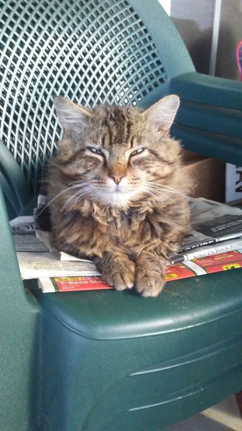 Mr Biggs