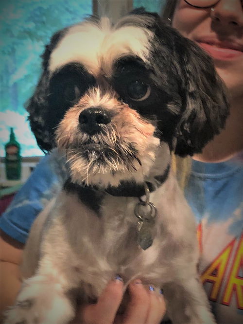 Charlie