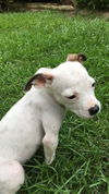 Molly
