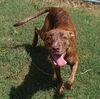 Mitsy