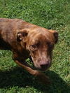 Mitsy