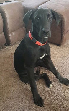 Jax
