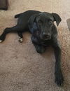 Jax