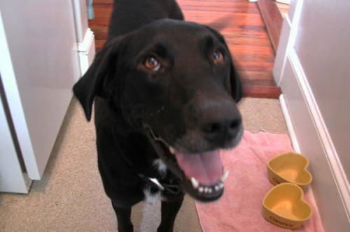 Angel-URGENT NEED
