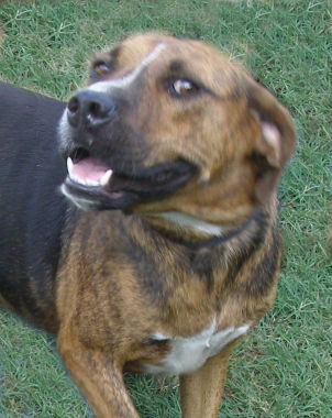 Dudley