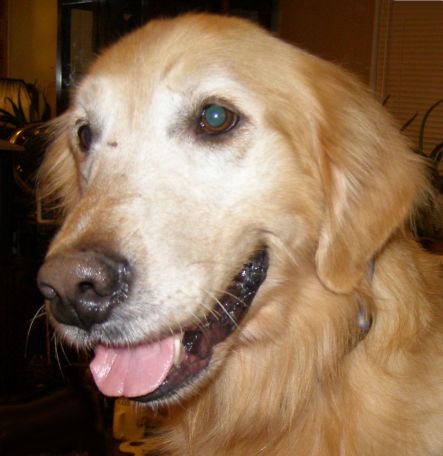 Monty!
