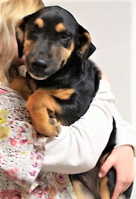Milo