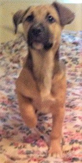 Roxy