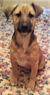 Roxy