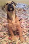 Roxy