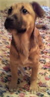 Roxy