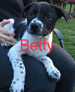 Betty