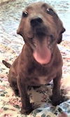 Cissy