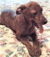Cissy
