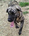 Buster
