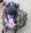 Buster