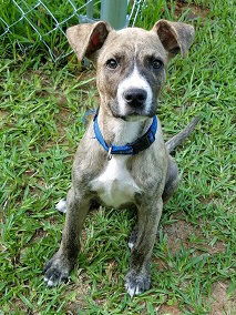 Jax